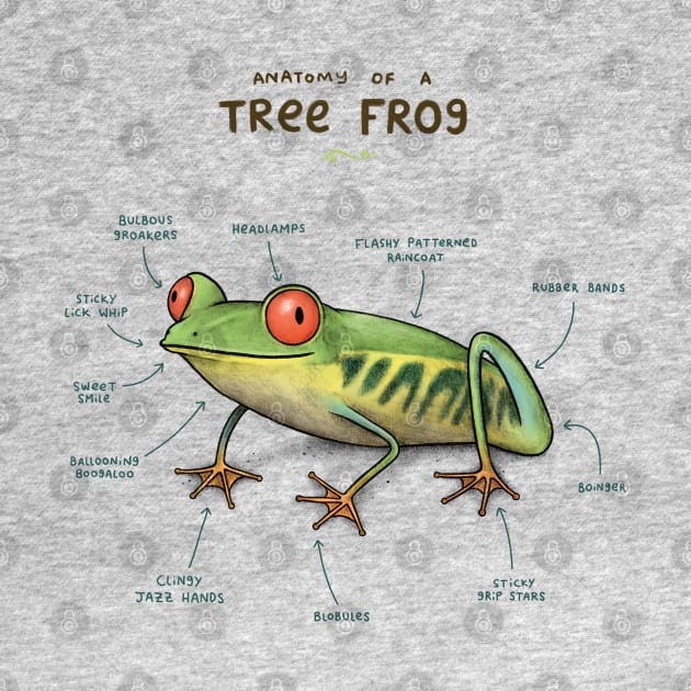 Anatomy of a Tree Frog by Sophie Corrigan